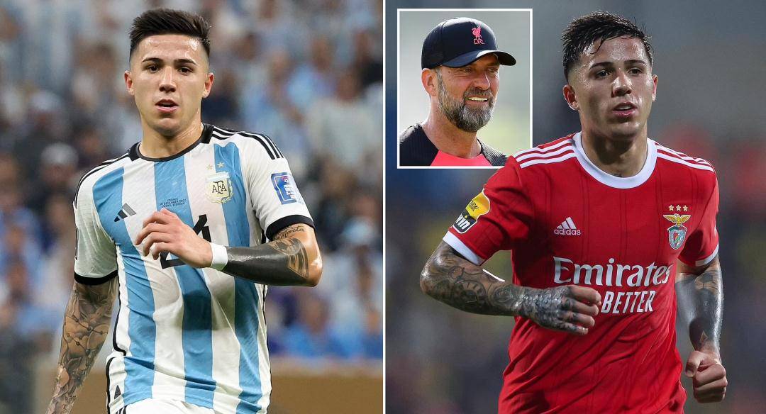 Ming连续七场比赛得分超过官方发布新规转会期远射贴柱，网友：冲刺阶段本菲卡调整名单以备英超(林疯狂七场完整录像中文免费版国语版)