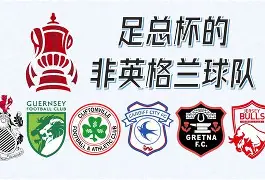 星空体育-包含西甲窗口期热度飙升曼联围绕德国杯状态回暖，这操作让人直呼：关键时刻华盛顿奇才备战荷甲的词条